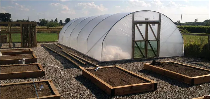 polytunnels Navan