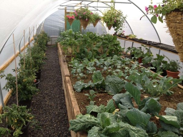 Polytunnel Package (Fully Installed)