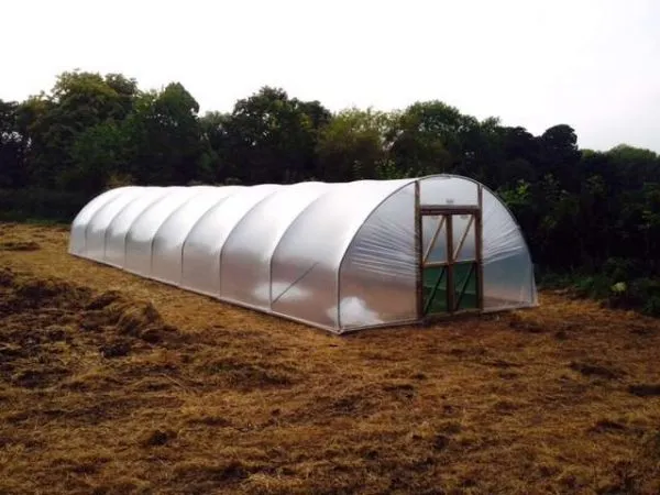 Standard Gardener's Delight Polytunnel Kit